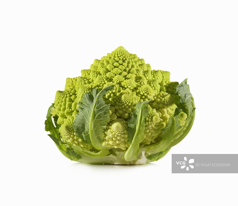 单颗宝塔花菜图片素材