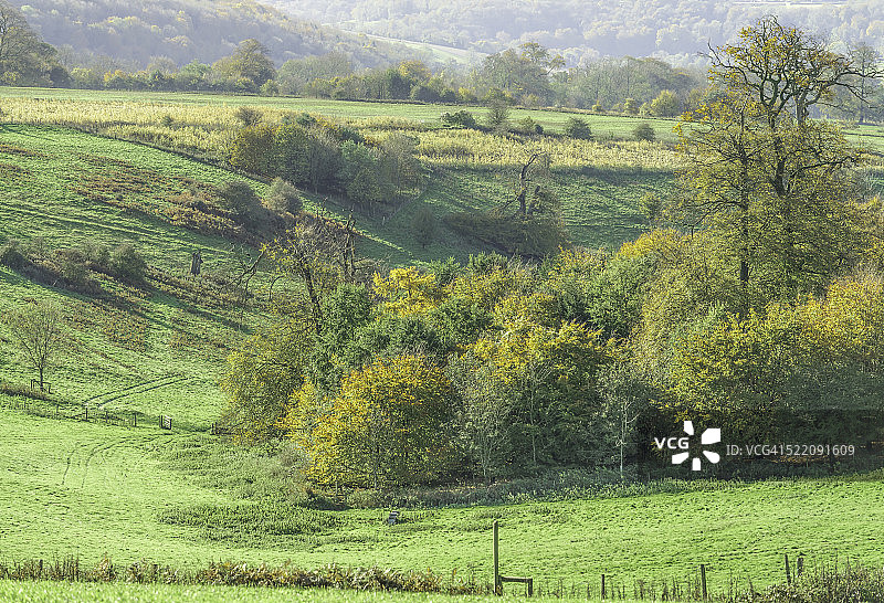 西萨塞克斯郡南唐斯丘陵上的南哈廷图片素材
