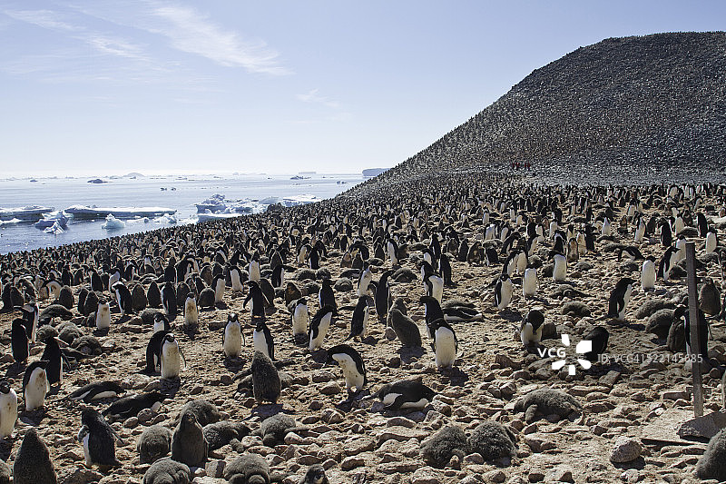 南极洲的波利特岛图片素材