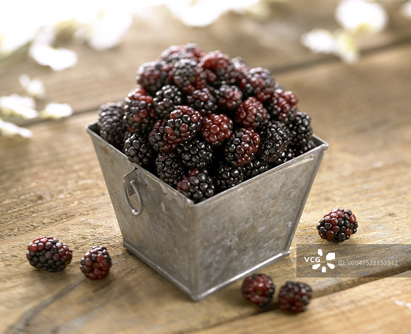 黑莓图片素材
