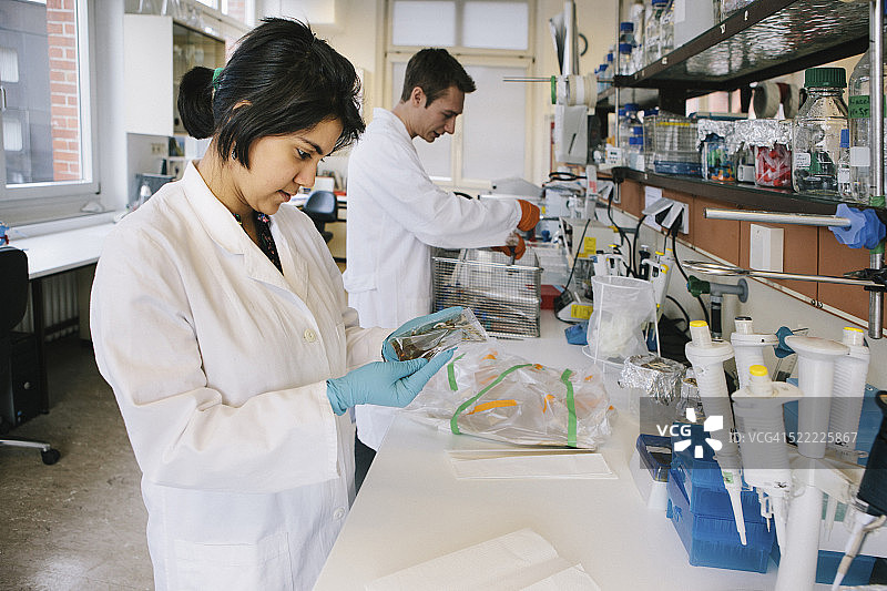 实验室里分析DNA测试的年轻女研究员图片素材