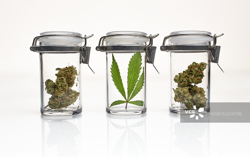 医用大麻图片素材
