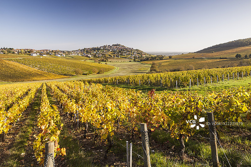 法国桑塞尔葡萄园的秋色图片素材
