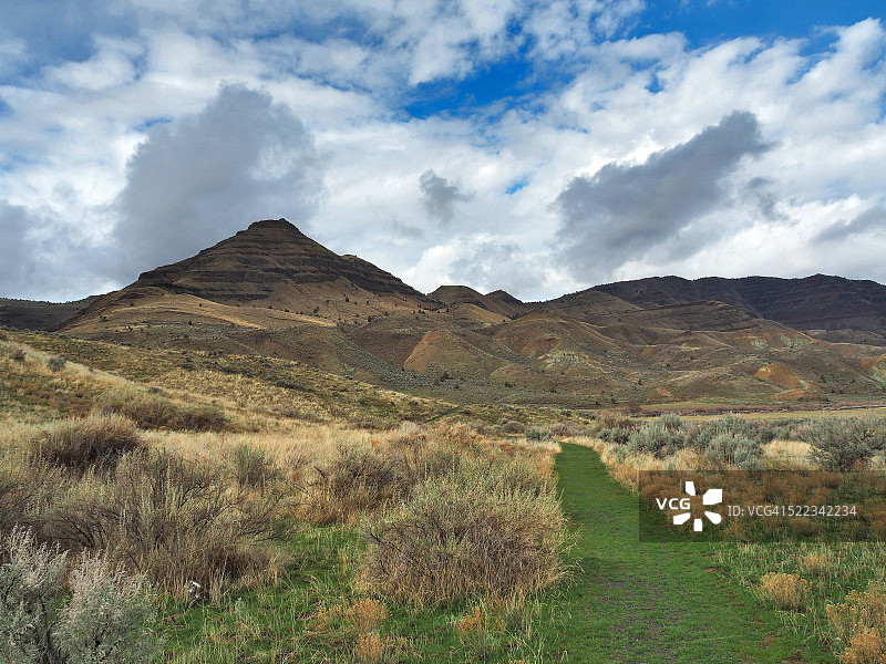 俄勒冈州约翰迪化石床国家公园绵羊岩单元的徒步小径图片素材