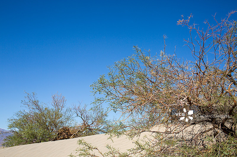 野生动物的自然栖息地图片素材