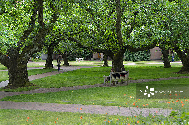 华盛顿大学校园图片素材