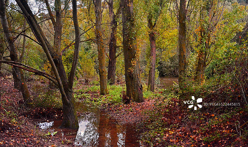 秋天的风景图片素材