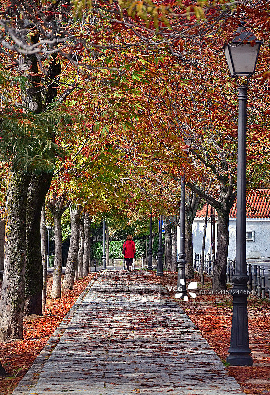 秋天走图片素材