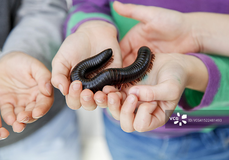 孩子们的双手拿着大马陆图片素材