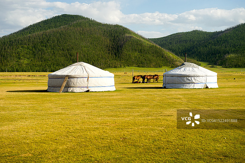在蒙古中部Orkhon山谷的马和蒙古包图片素材