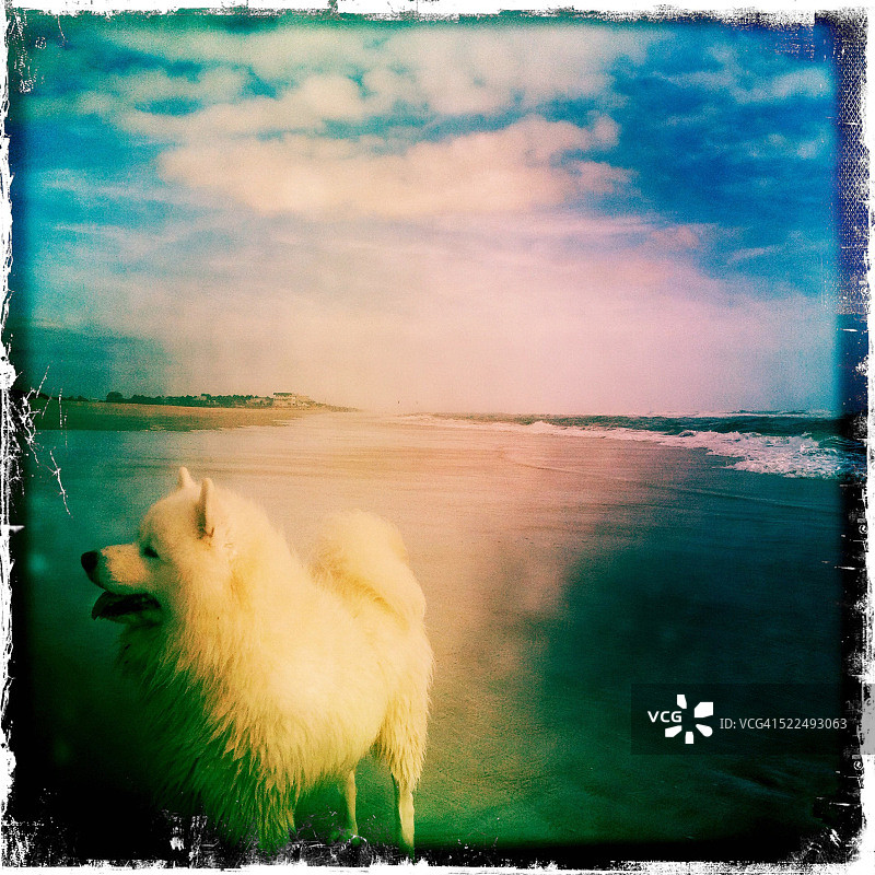 本月最佳图片素材