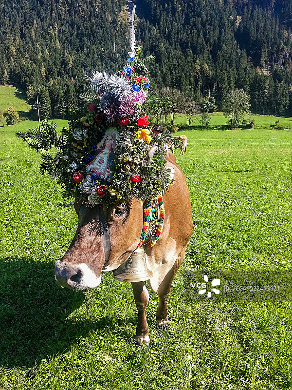 本月最佳图片素材