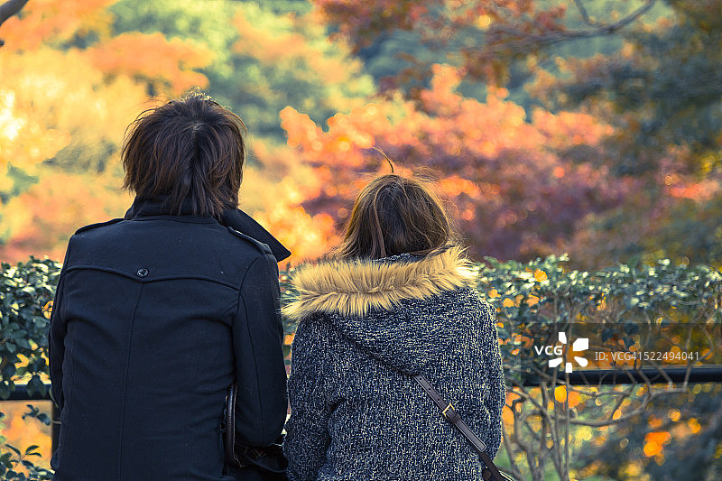 秋天的颜色图片素材