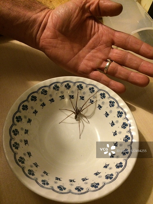 想象的恐惧图片素材