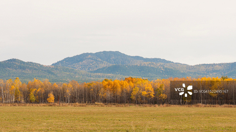 秋天的颜色图片素材
