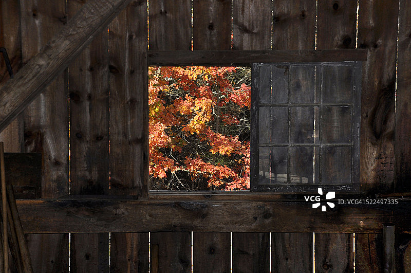 秋天的颜色图片素材