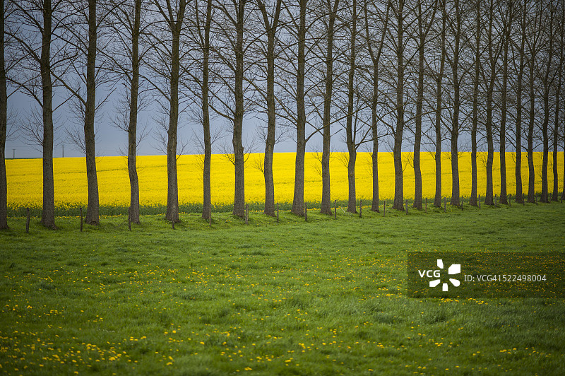 春季田野风光图片素材