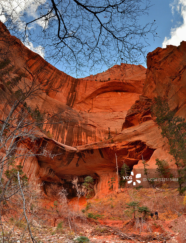 锡安国家公园科罗布峡谷的双拱凹室竖版全景图图片素材