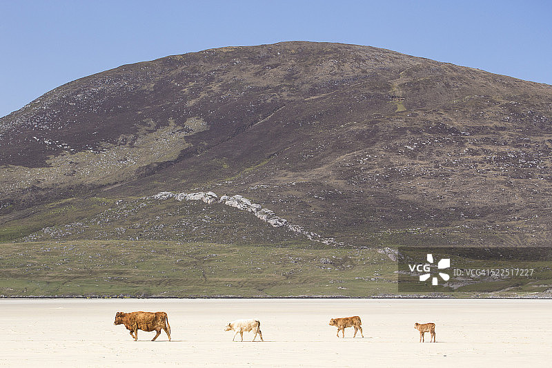 斯卡里斯塔海滩，哈里斯岛，苏格兰图片素材