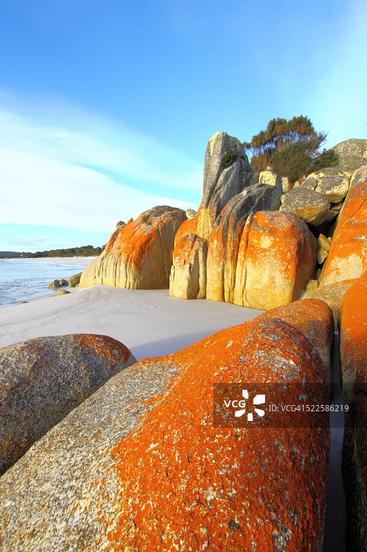 澳大利亚塔斯马尼亚火焰湾图片素材