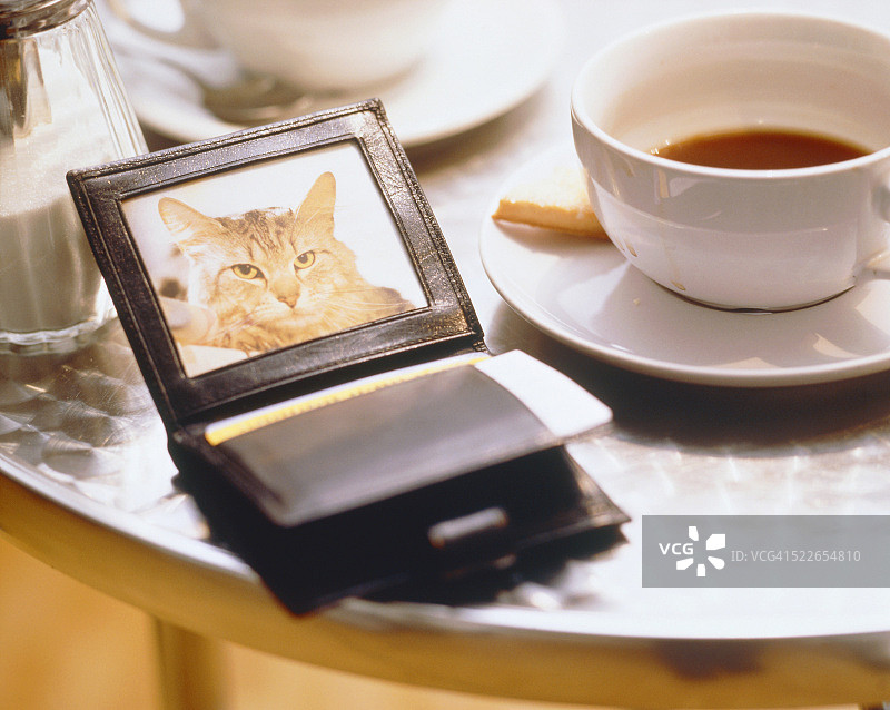 钱包和桌子上猫的照片图片素材