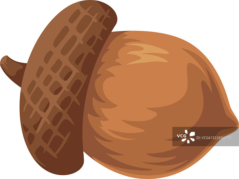 橡子卡通图片素材
