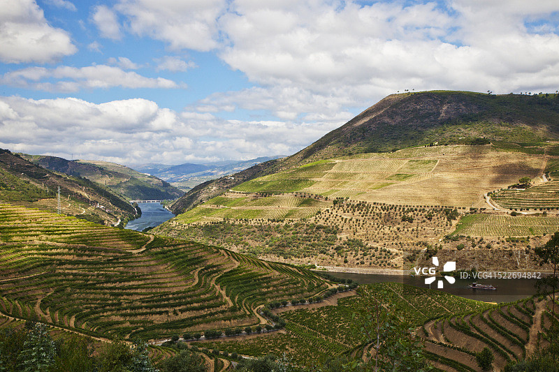 杜罗河畔皮尼昂上方的葡萄园位于杜罗河上方梯田山坡上图片素材
