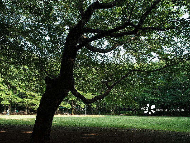 驹场公园图片素材