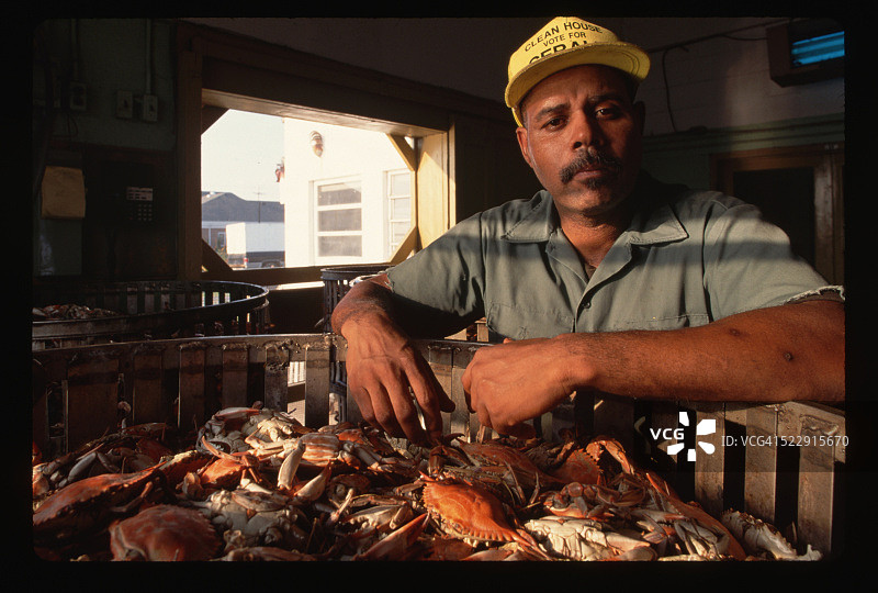 蟹类冷却室中的Mike Horsey图片素材