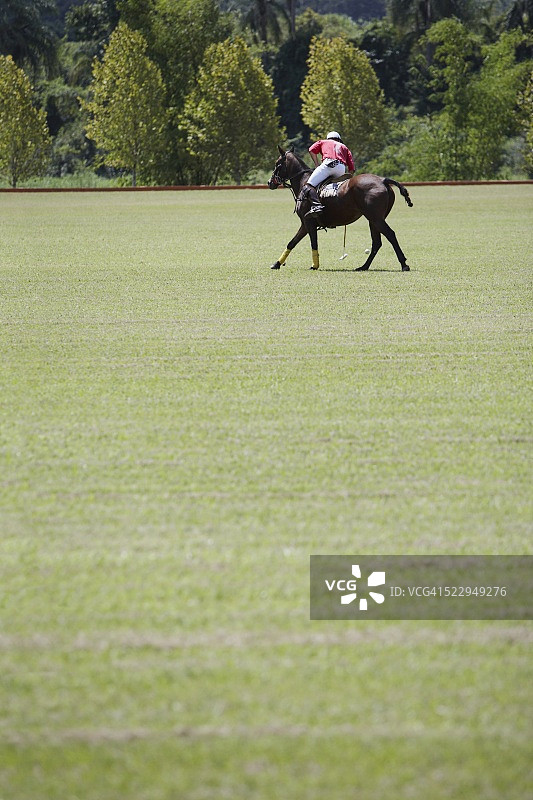 马球运动员图片素材