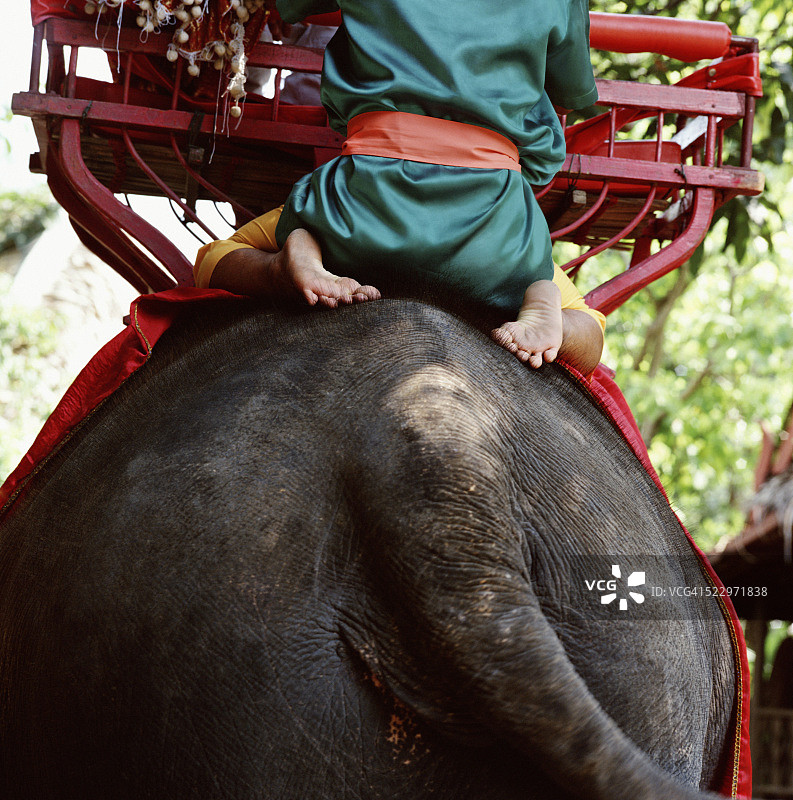 骑象人图片素材