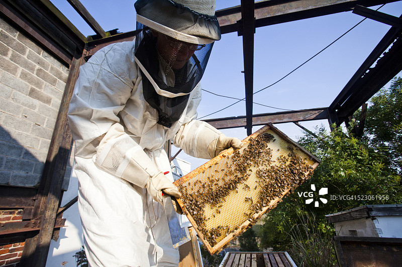 城市农民拿着一块蜂箱图片素材