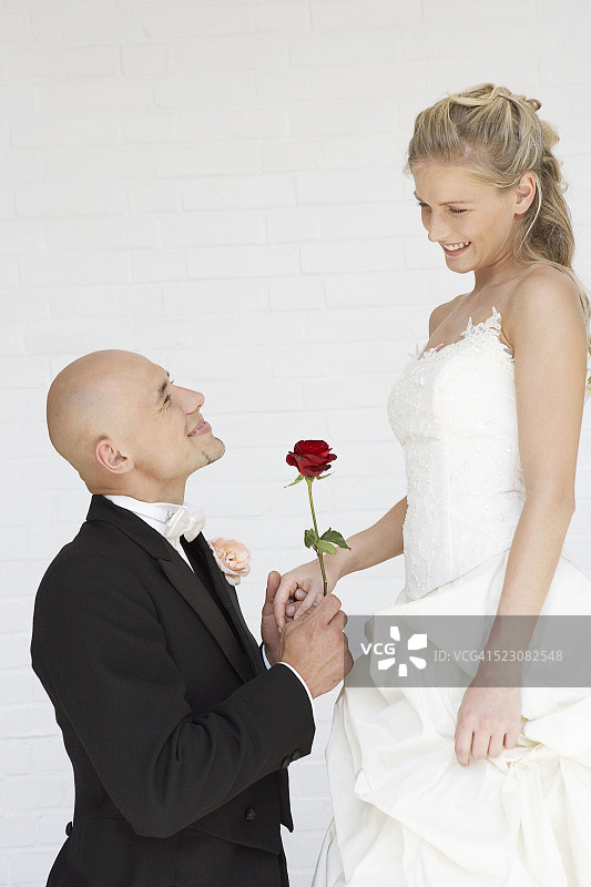 新郎送给新娘一支红玫瑰图片素材