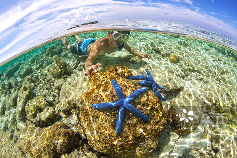 海葵中的小丑鱼肖像图片素材