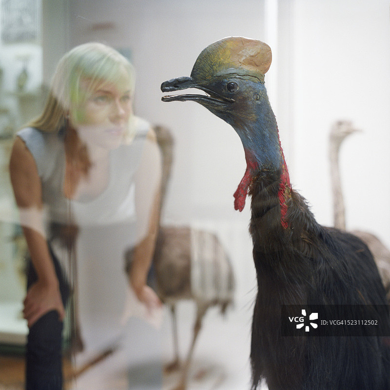 在博物馆展区观鸟的大学生图片素材
