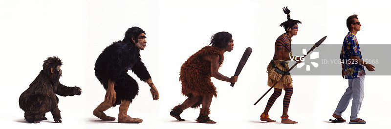 人类的进化图片素材