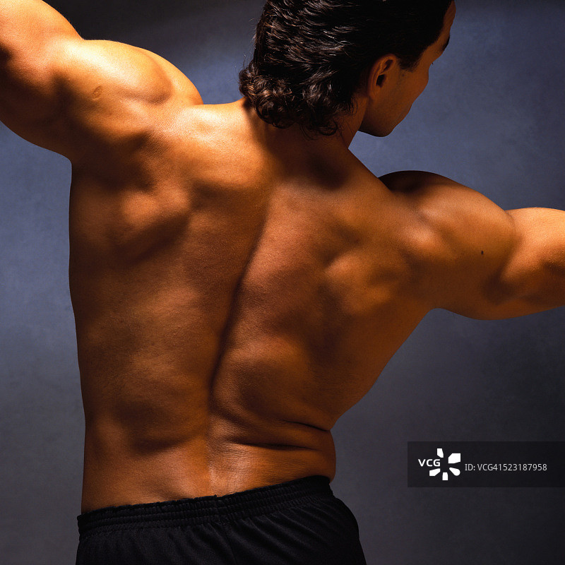 健壮男人的背部肌肉图片素材
