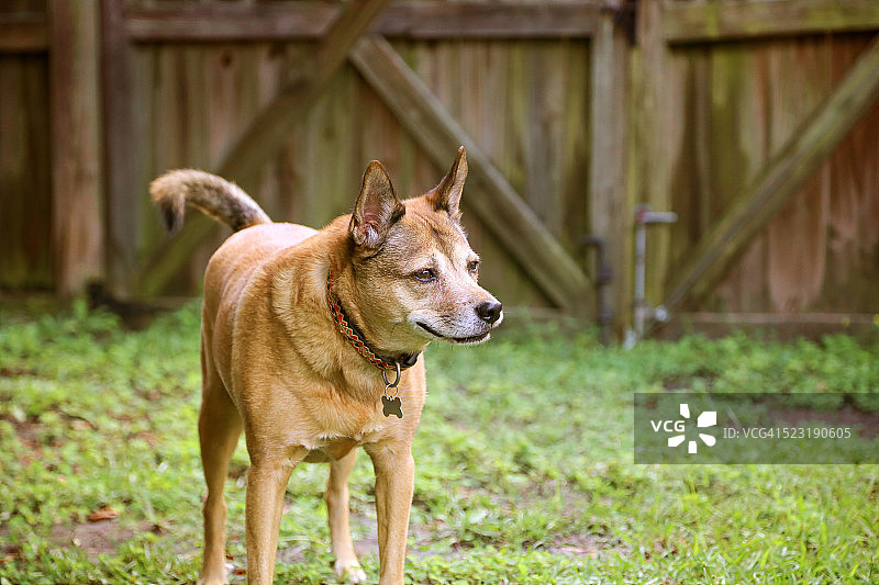 围起来的区域图片素材