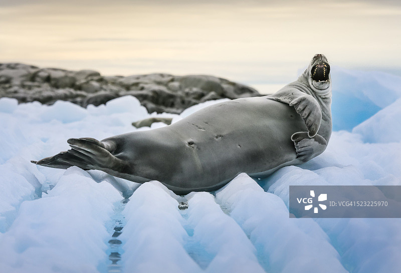 漫长的日子图片素材