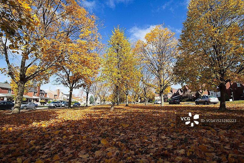 秋天的颜色图片素材