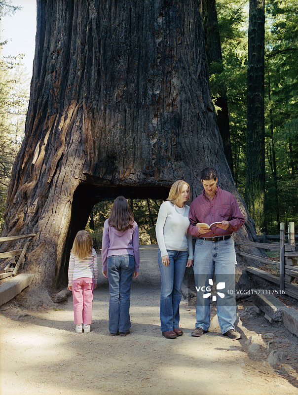 一家人站在树洞下图片素材