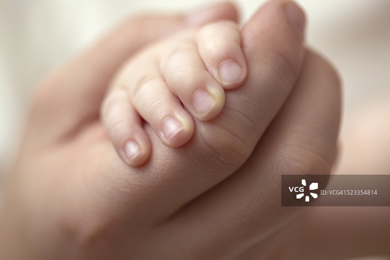 孩子和父母的手图片素材