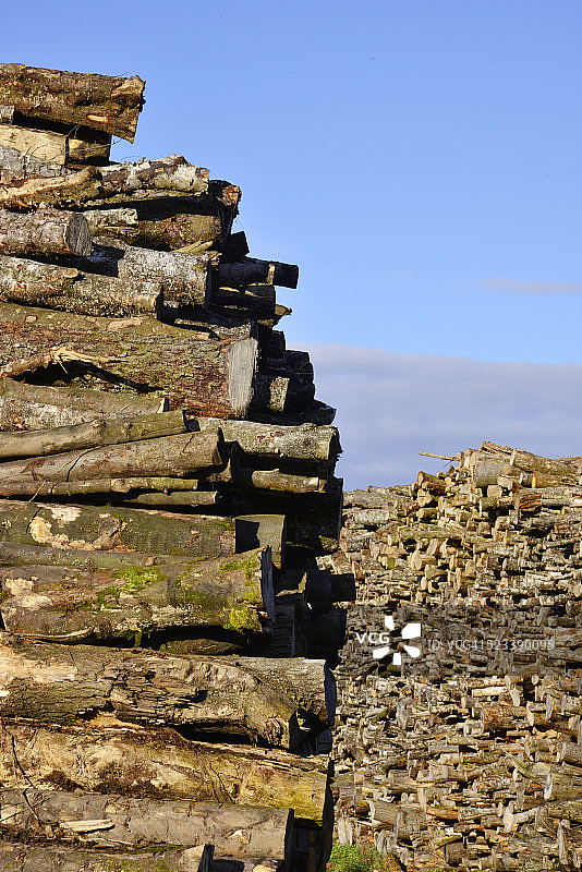 苏格兰伐木场堆积如山的巨型木材图片素材