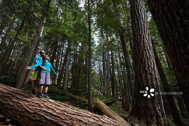 徒步者在温带雨林中欢呼图片素材