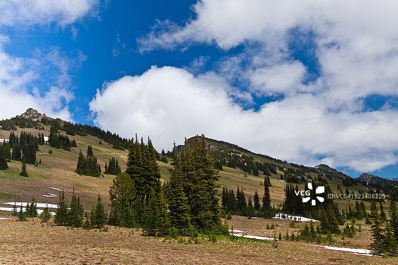 雷尼尔山国家公园日出点图片素材