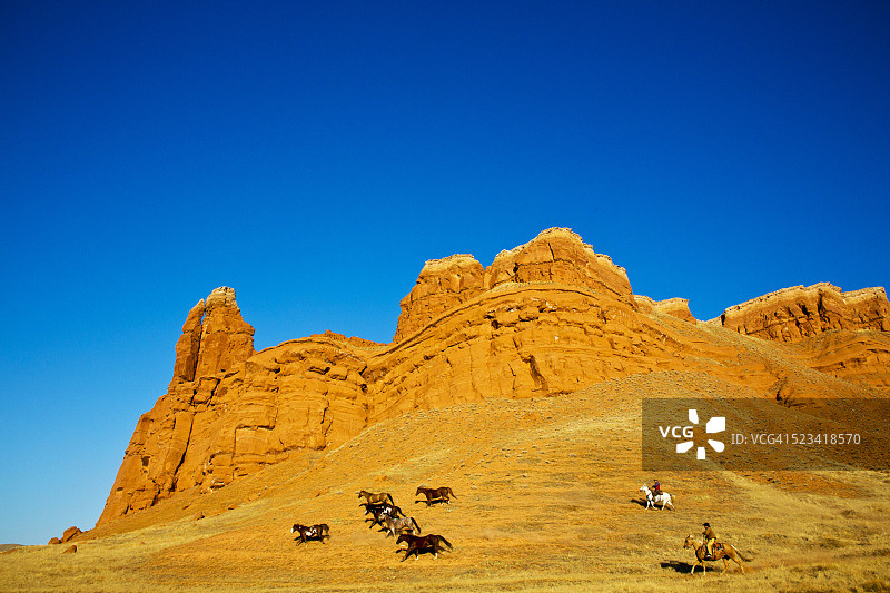 牛仔赶着马群沿着大角山图片素材