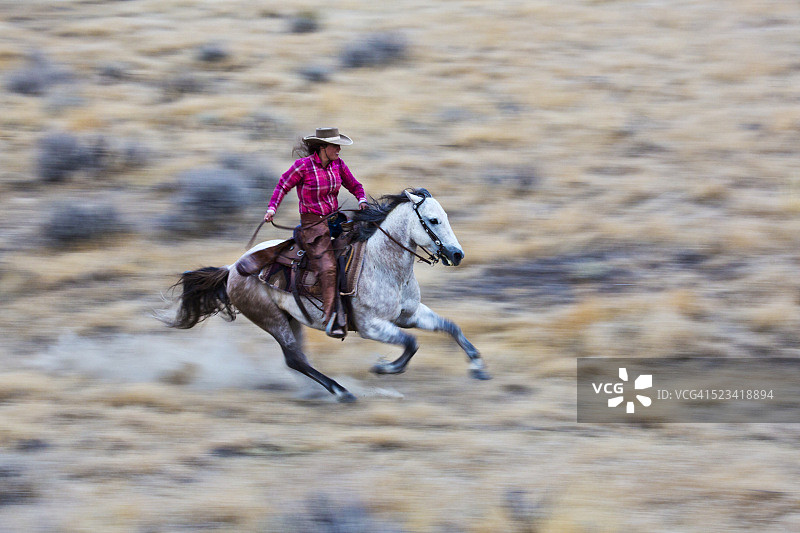 女牛仔全速奔驰图片素材