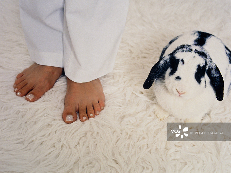 年轻女人站在地毯上的侏儒兔旁边图片素材