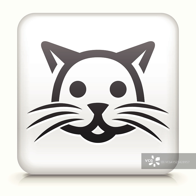 猫方形按钮图片素材