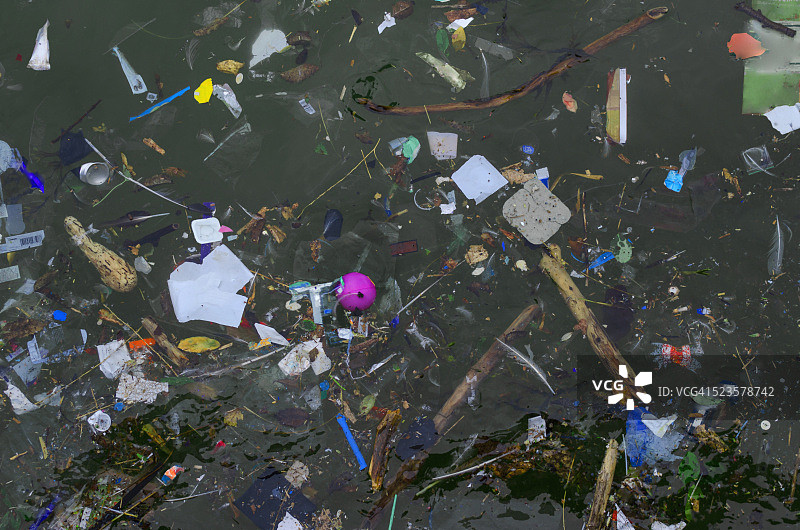 海水中的漂浮物图片素材